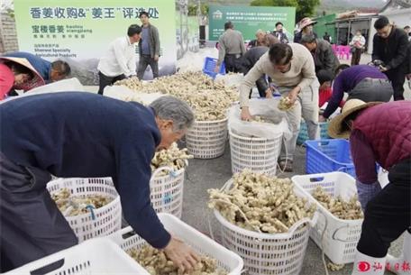 全省第一批消費幫扶產品公示！57款汕尾產品入選
